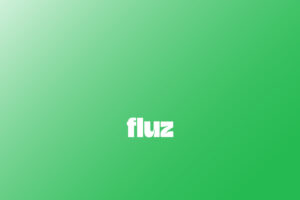 Fluz